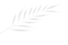 路桂军:每个关于死亡的节日,都在教我们如何去爱