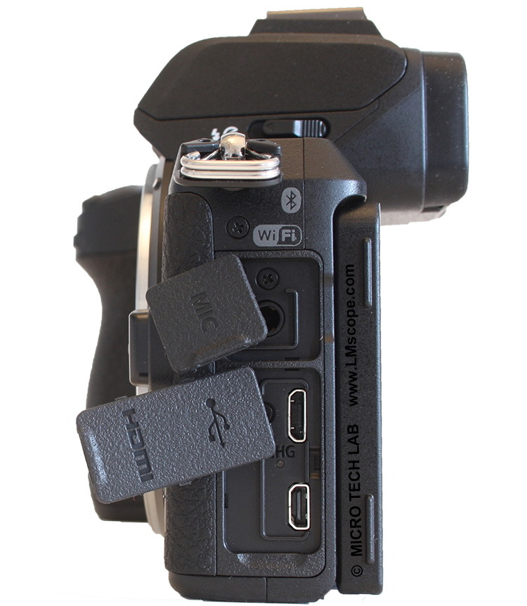 R-C (1).jpg