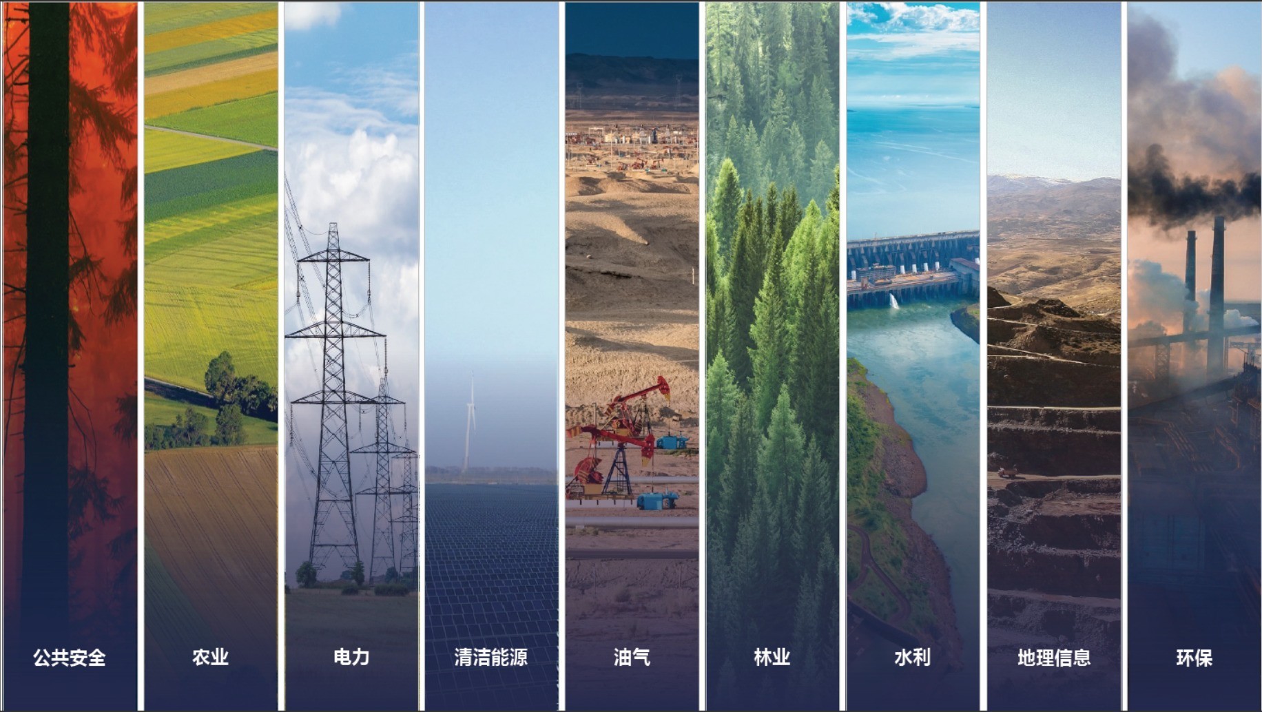 展现科技的力量 大疆无人机助力林业守护绿水青山