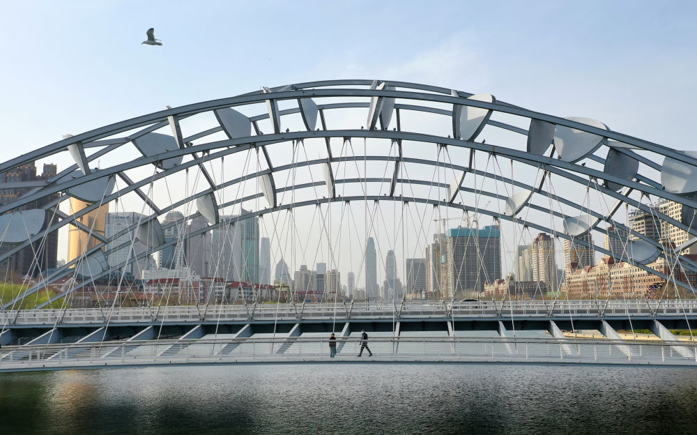 一只飞鸟飞过天津海河上的直沽桥。