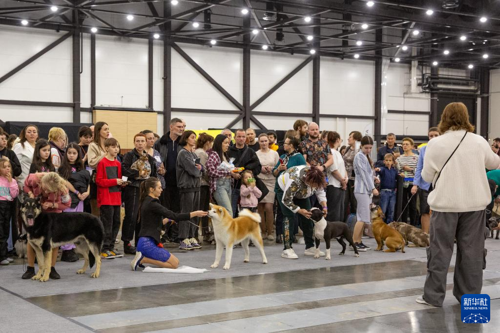 圣彼得堡举行年度春季宠物展凤凰网北美_凤凰网