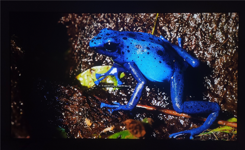 3K价位无对手!电视S65 Mini LED评测:控黑优秀 显示延迟仅8ms