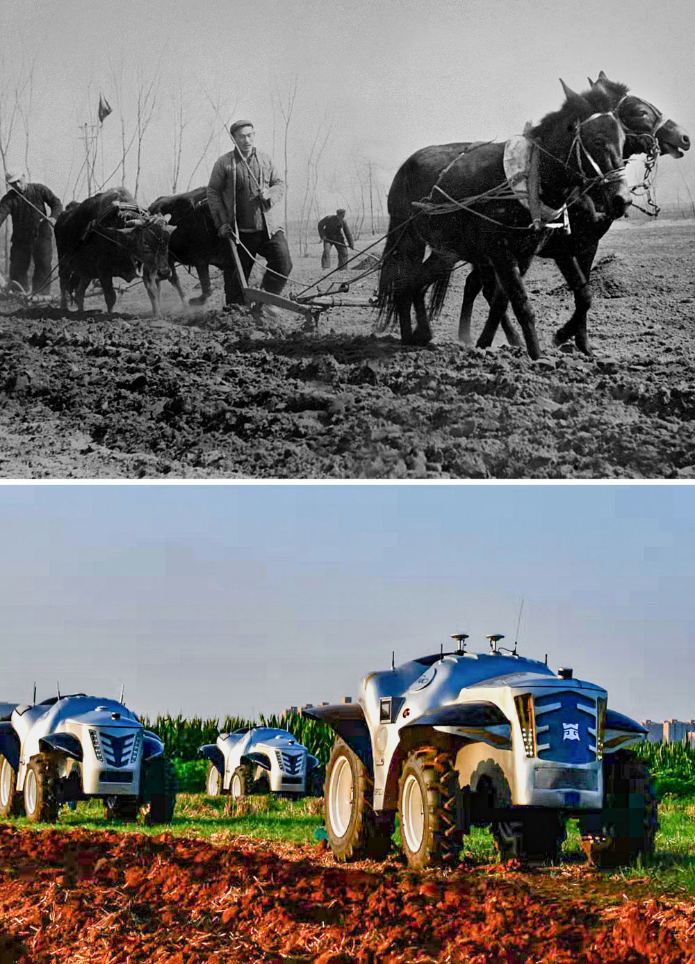 拼版照片：上图为1954年，河南开封农民在用传统的畜拉步犁耕地（吕学召 摄）；下图为2019年7月26日，洛阳一拖集团生产的纯电动无人驾驶拖拉机准备做耕地测试（潘郁 摄）。