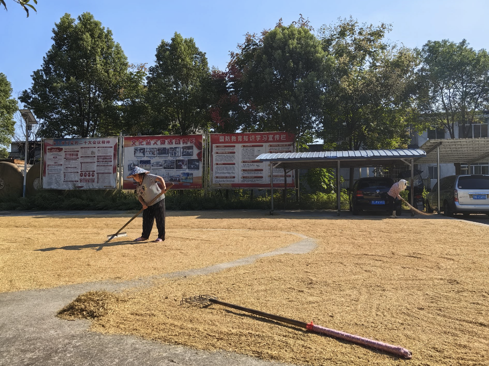 安徽舒城县政府大院“比小区还容易进”，居民称食堂馒头好吃