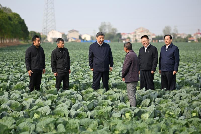 △2024年11月5日，习近平总书记在湖北省咸宁市嘉鱼县潘家湾镇十里蔬菜长廊考察时，同菜农亲切交流。