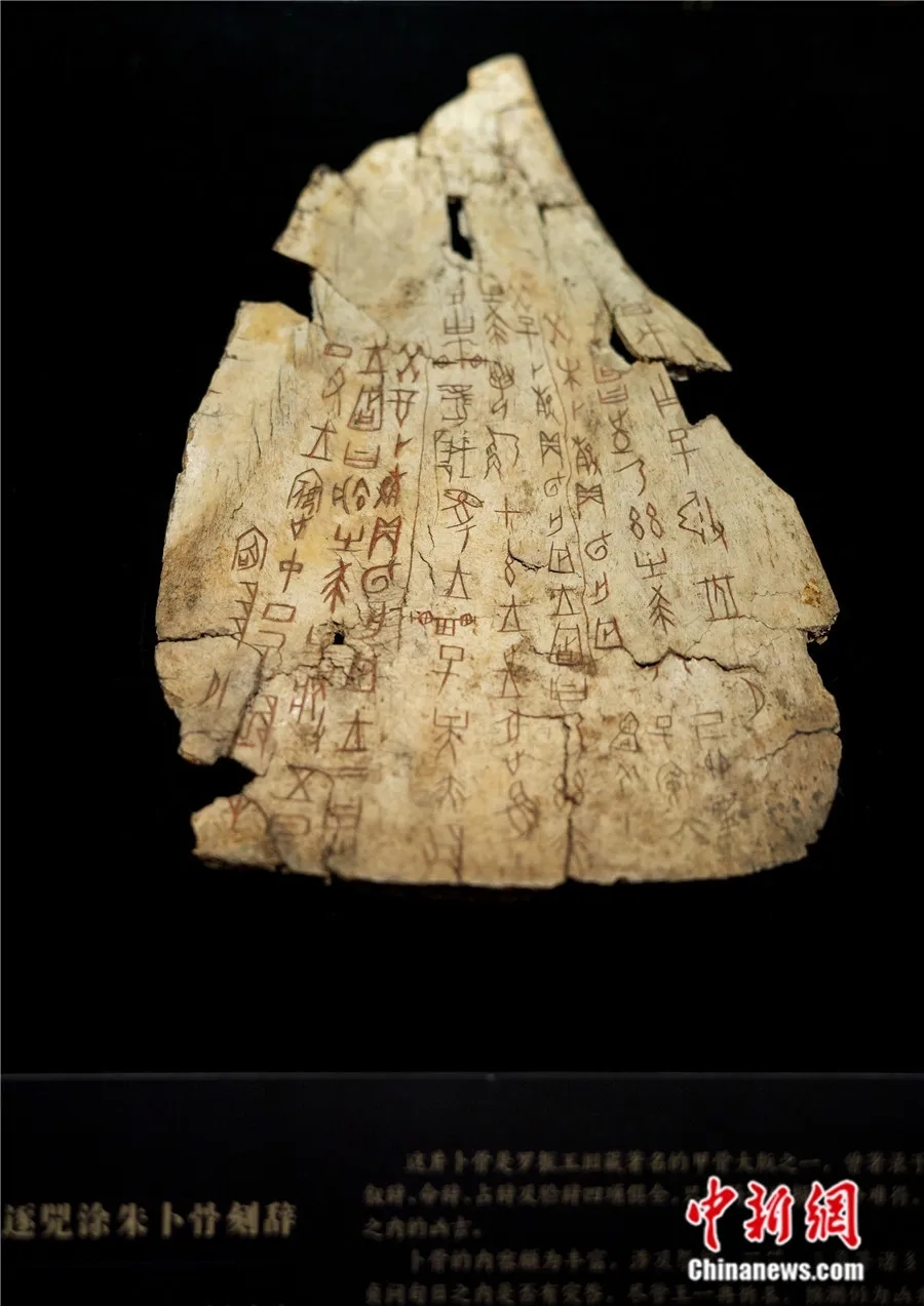 国家博物馆内的“证古泽今——甲骨文文化展”展出的甲骨。侯宇 摄