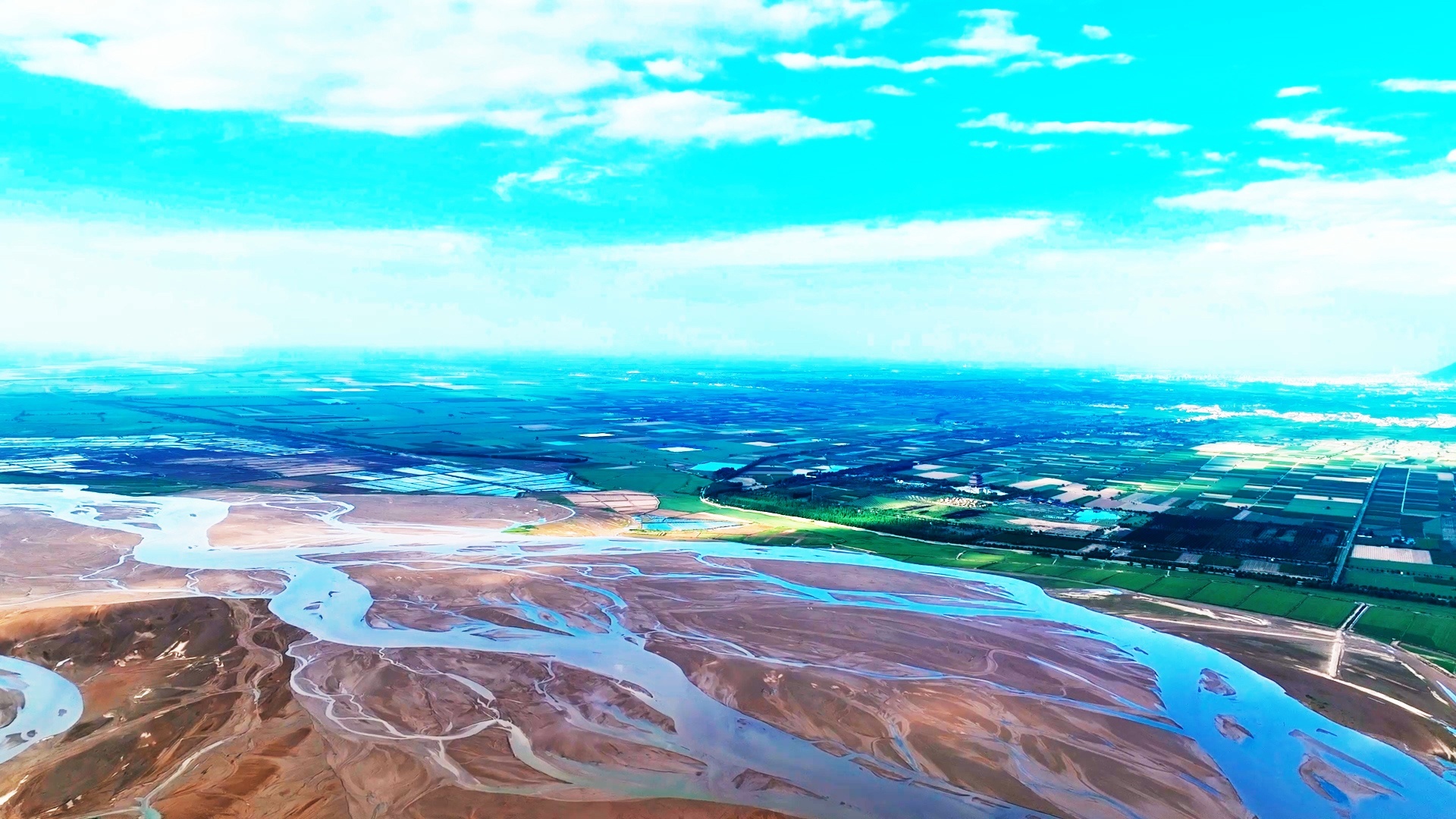 风起黄河飞阅黄河陕西大荔群鸟翔集绘就生态画卷