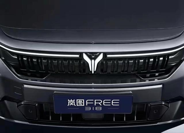 岚图FREE 318