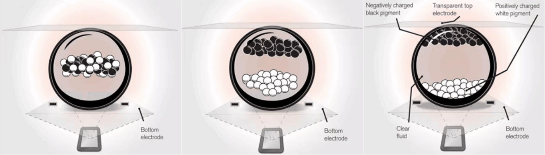 AOC慧学本10W1D惊艳亮相首届健康显示大会 带来高效护眼新方案