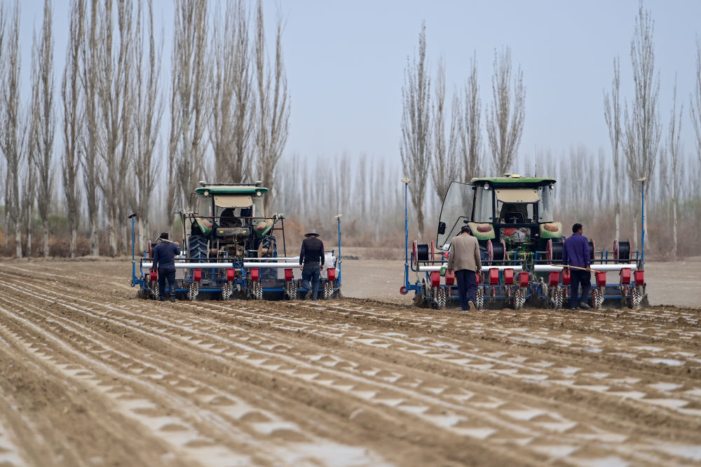 壮观!带你看新疆棉花春播大场面