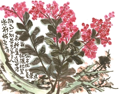 《紫荆花》 李苦禅 1974年