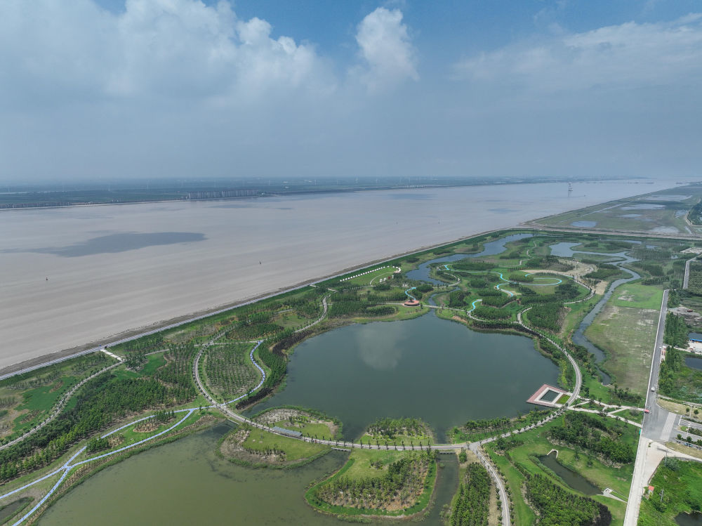 这是江苏省启东市滨江生态绿廊（2023年7月24日摄，无人机照片）。新华社记者 季春鹏 摄