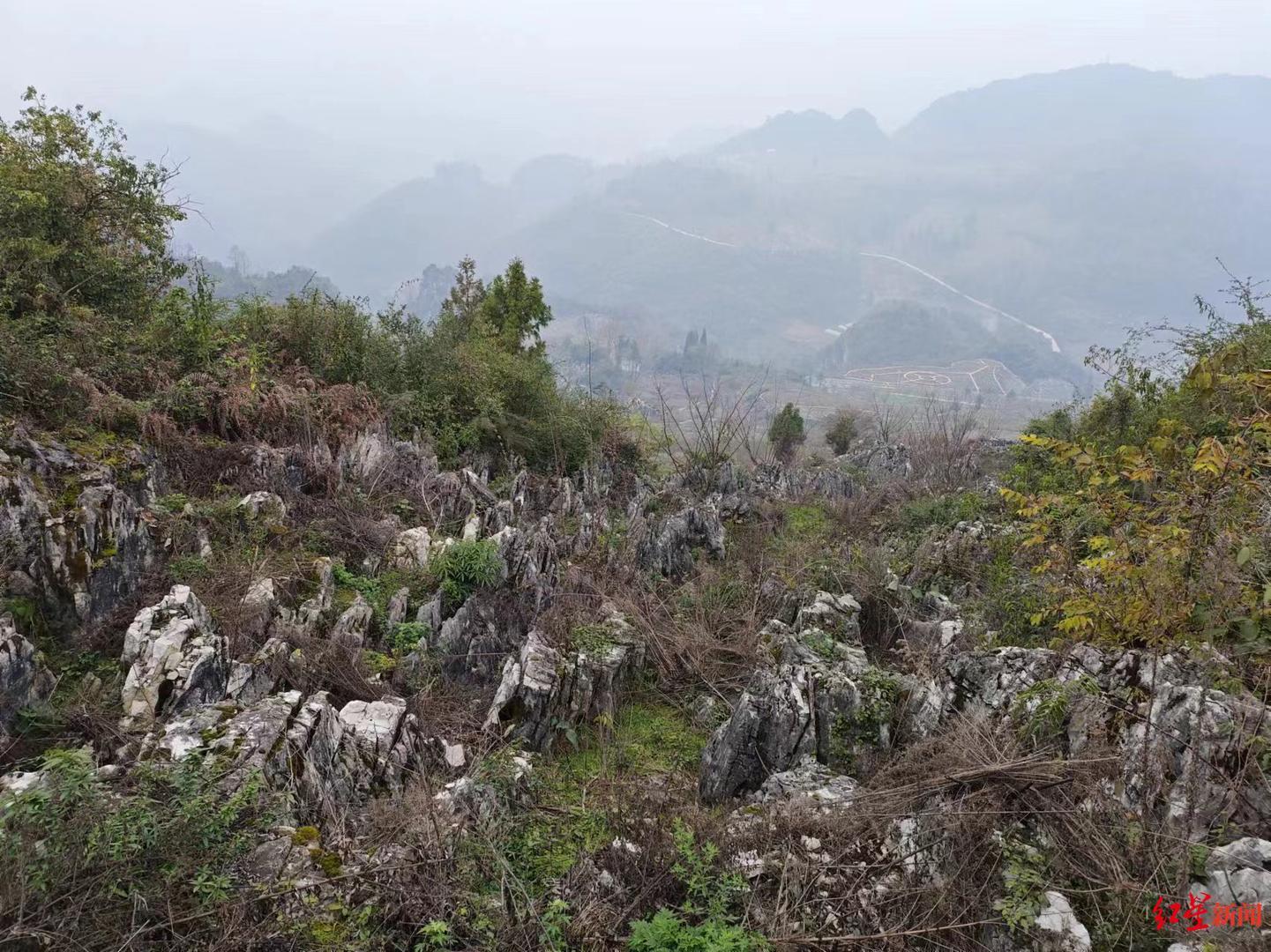 ▲从杨妞花母亲坟前看出去,是重重叠叠的山