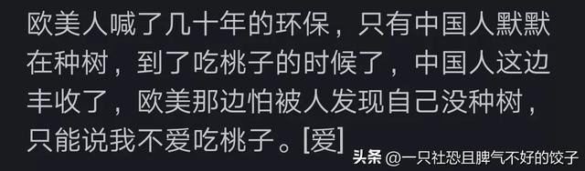 西方为什么集体退出新动力汽车?看完网友的计划让我大梦初醒