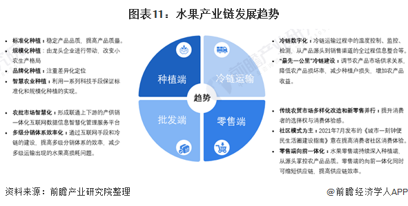 图表11：水果产业链发展趋势