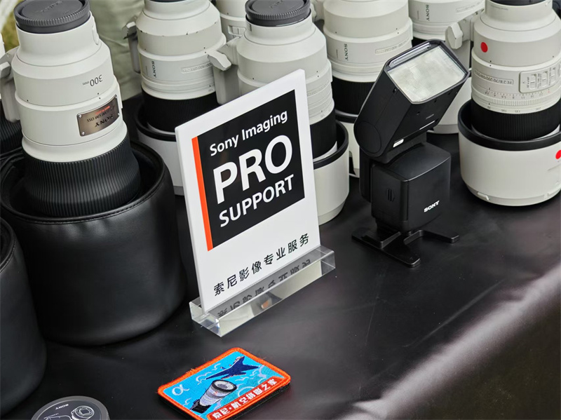 新建 DOCX 文档1694.png