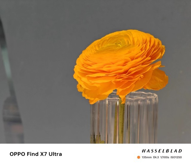 双潜望的料真没白堆 OPPO Find X7 Ultra一个月实拍体验