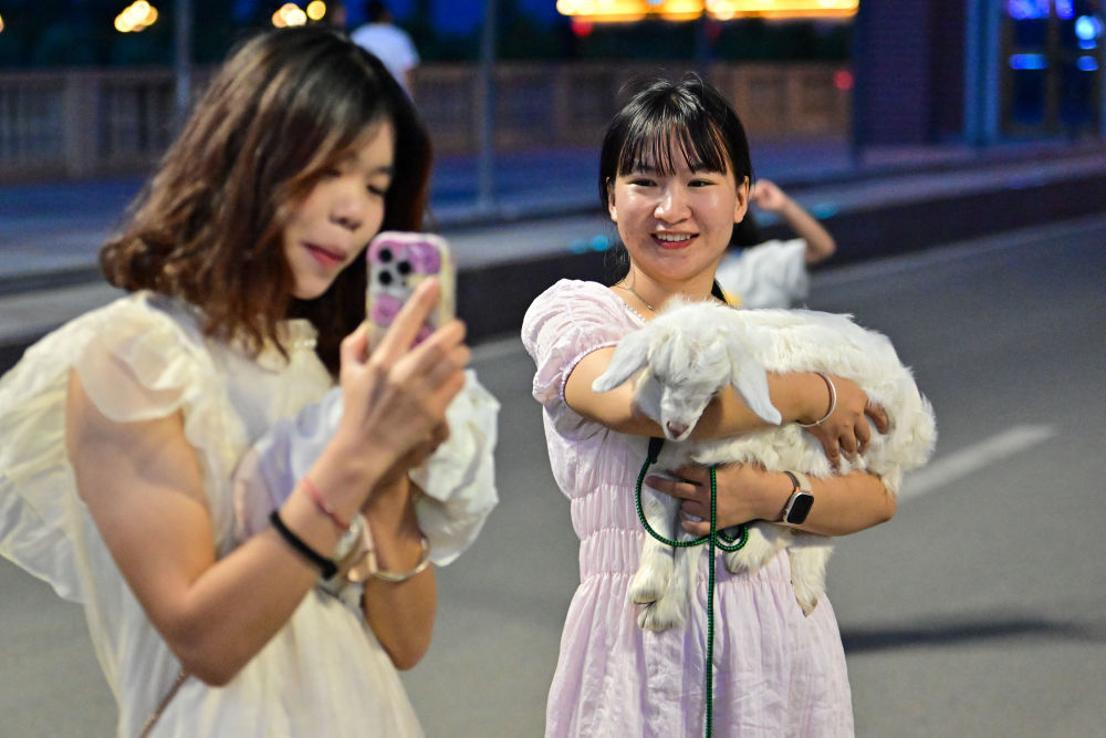 游客在新疆布尔津县七彩河休闲旅游度假区抱着小羊拍照（7月21日摄）。