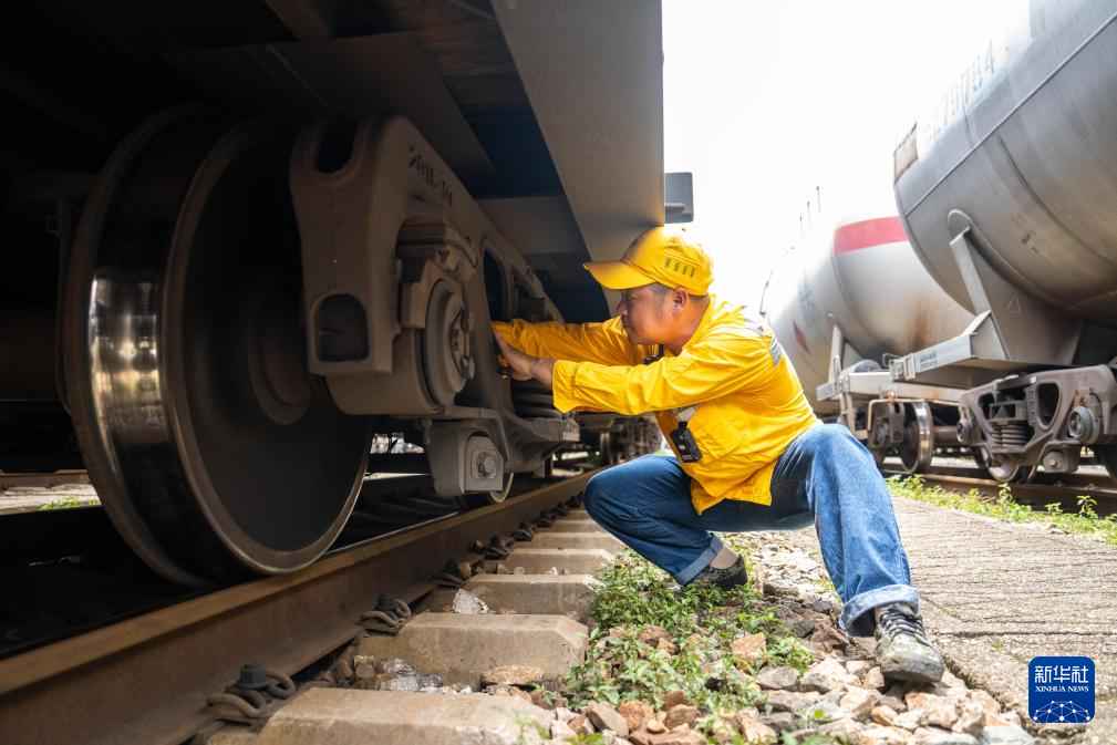 6月20日，在株洲北站下行出发场，铁路工作人员进行列检作业。