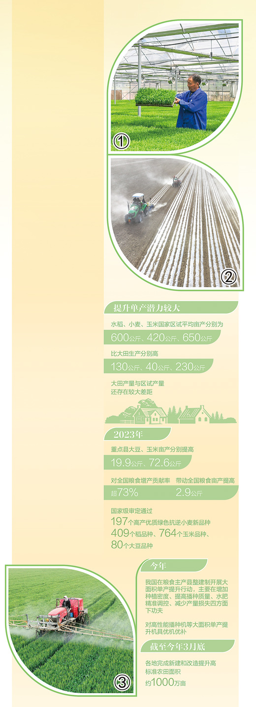 良种落地,小麦量质双提升