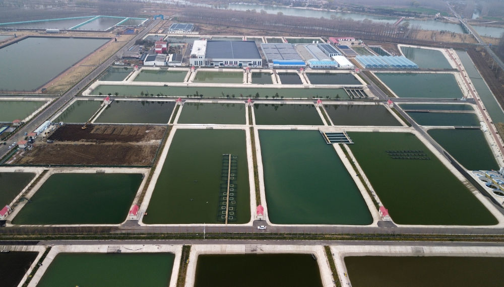 位于山东省微山县的微山湖现代渔业产业园（2024年3月14日摄，无人机照片）。新华社记者 徐速绘 摄