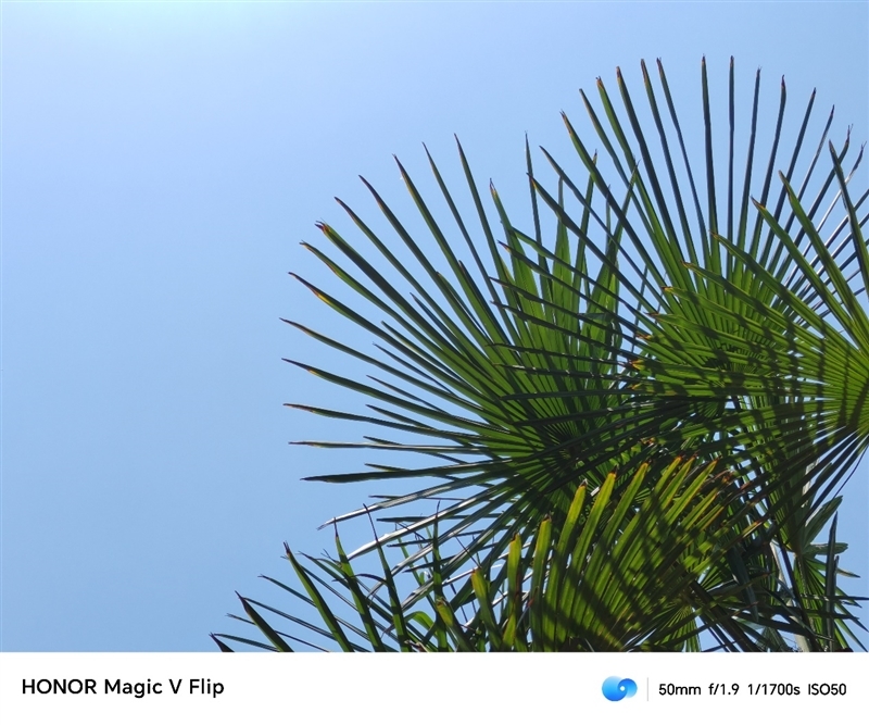 荣耀首款小折叠!荣耀Magic V Flip评测:4英寸超大外屏我能玩一天