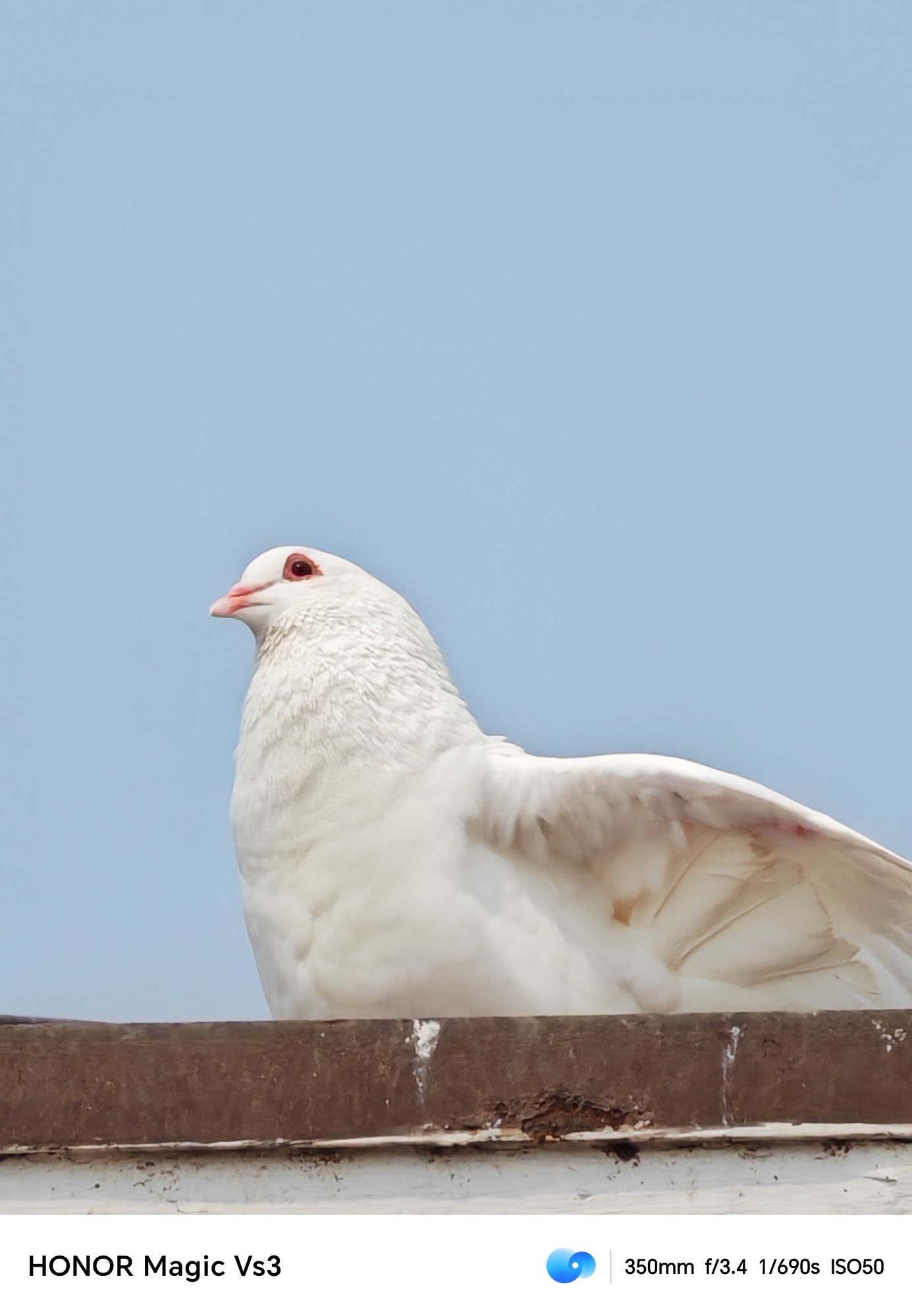 荣耀Magic Vs3上手体验:轻薄与全能并存的折叠屏新机