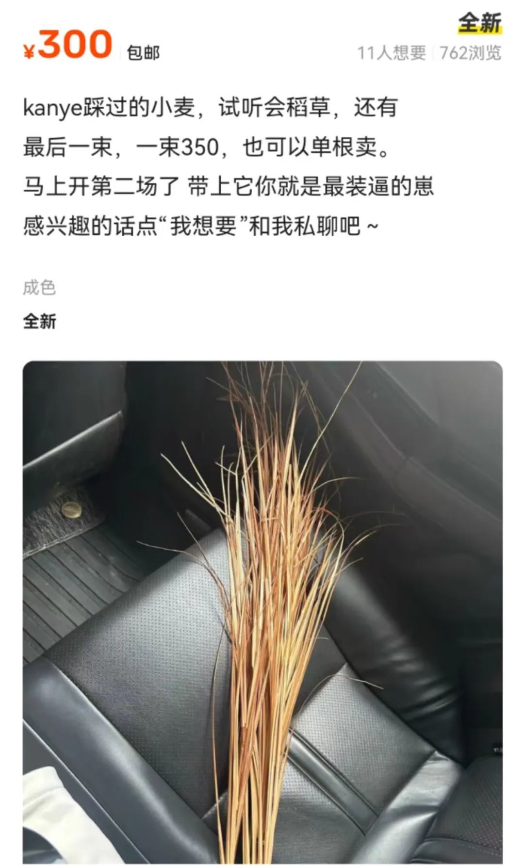 侃爷踩过的小麦一株卖三百，工作人员：小麦是塑料喷漆的