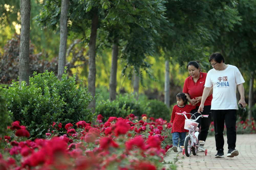 2022年5月25日，市民在河北沧州吴桥县运河公园休闲游玩。