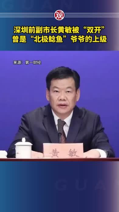 深圳前副市长黄敏被双开曾是北极鲶鱼爷爷的上级