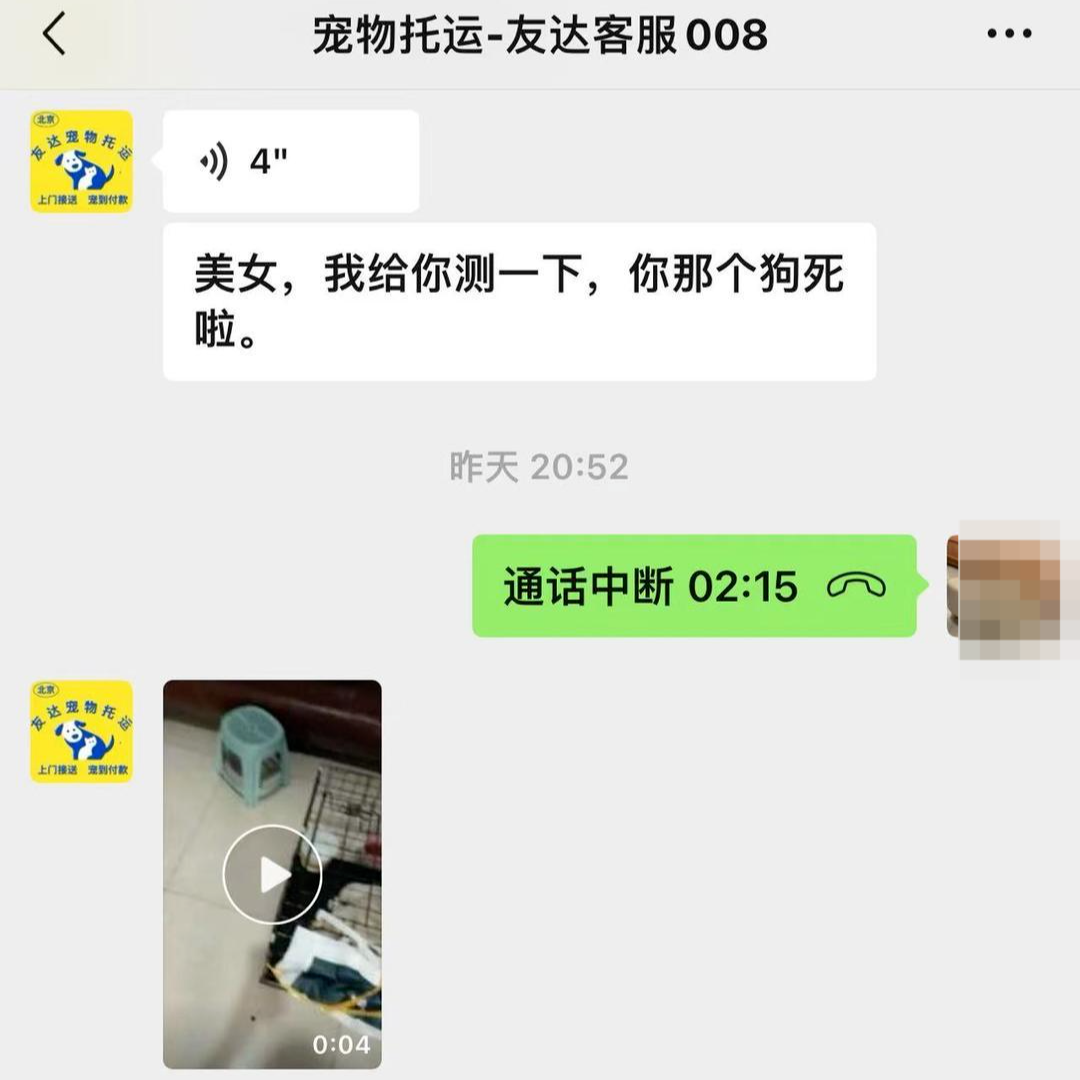 女子航空托运法斗犬，不料当天收到爱犬死亡噩耗，网络平台：托运店因“证件问题”已被屏蔽