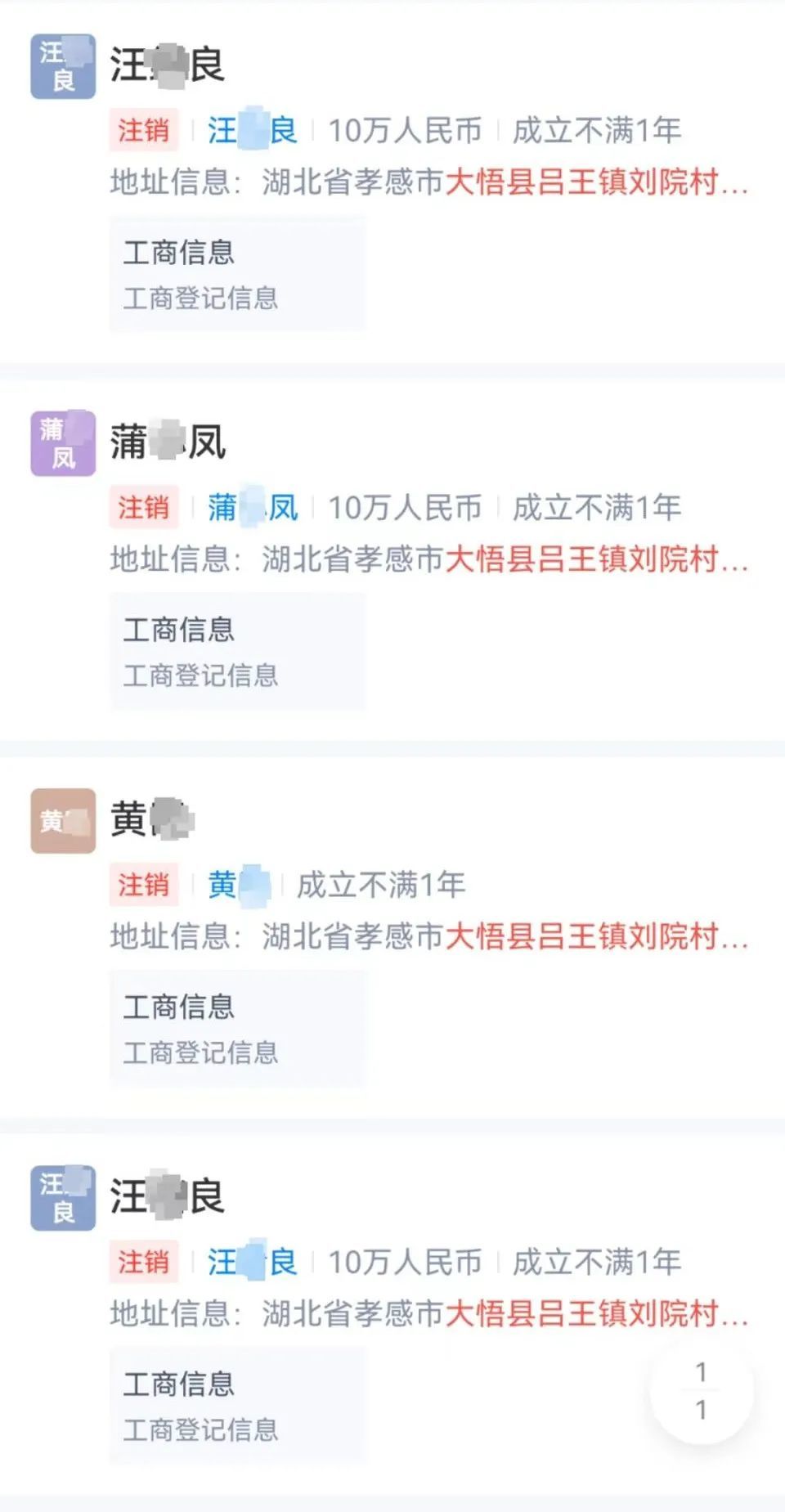 多位村民查询到的自己被冒名注册的工商信息