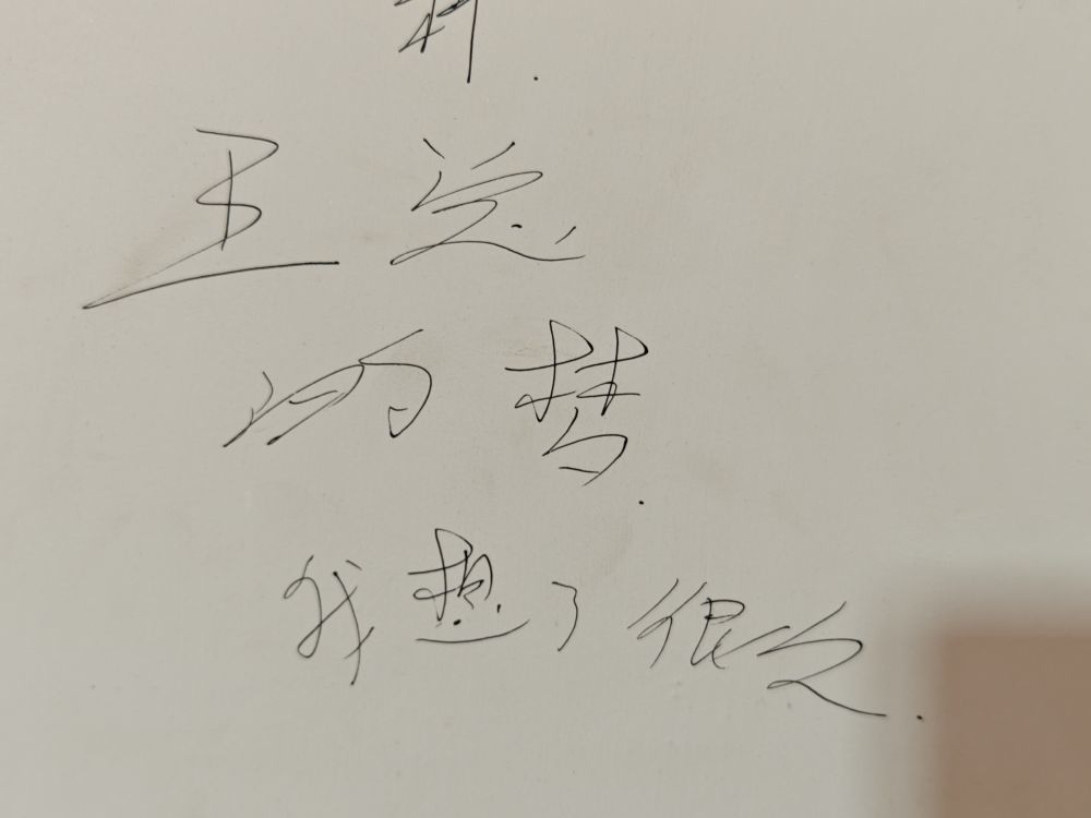 王雪医在墙上写下发展产业的志向。新华社记者 谢佼 摄