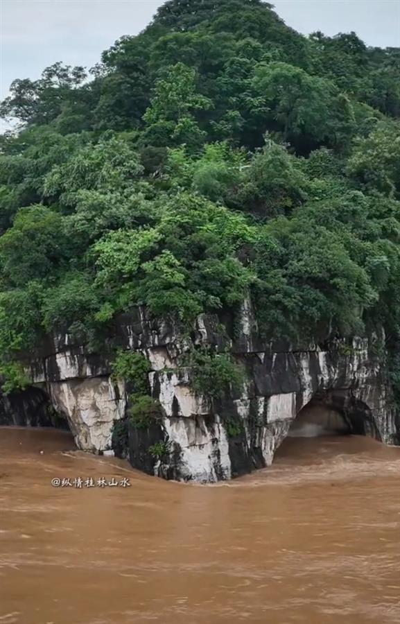 直击桂林洪灾：被淹没的象鼻山“鼻子”已露出