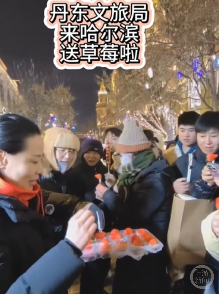 丹东市文旅局局长徐敏在哈尔滨中央大街发草莓。 视频截图