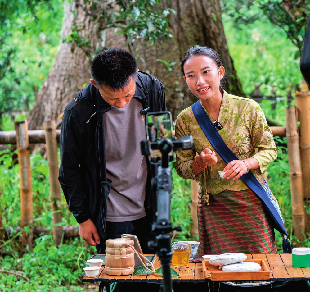 在云南景迈山大平掌古茶林，傣族姑娘仙金（右）在直播售卖普洱茶（2023 年 9 月 17 日摄） 胡超摄 / 本刊