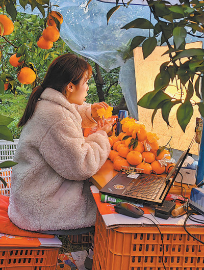 建设好现代农业产业园（新时代画卷&middot;国家现代农业产业园①）