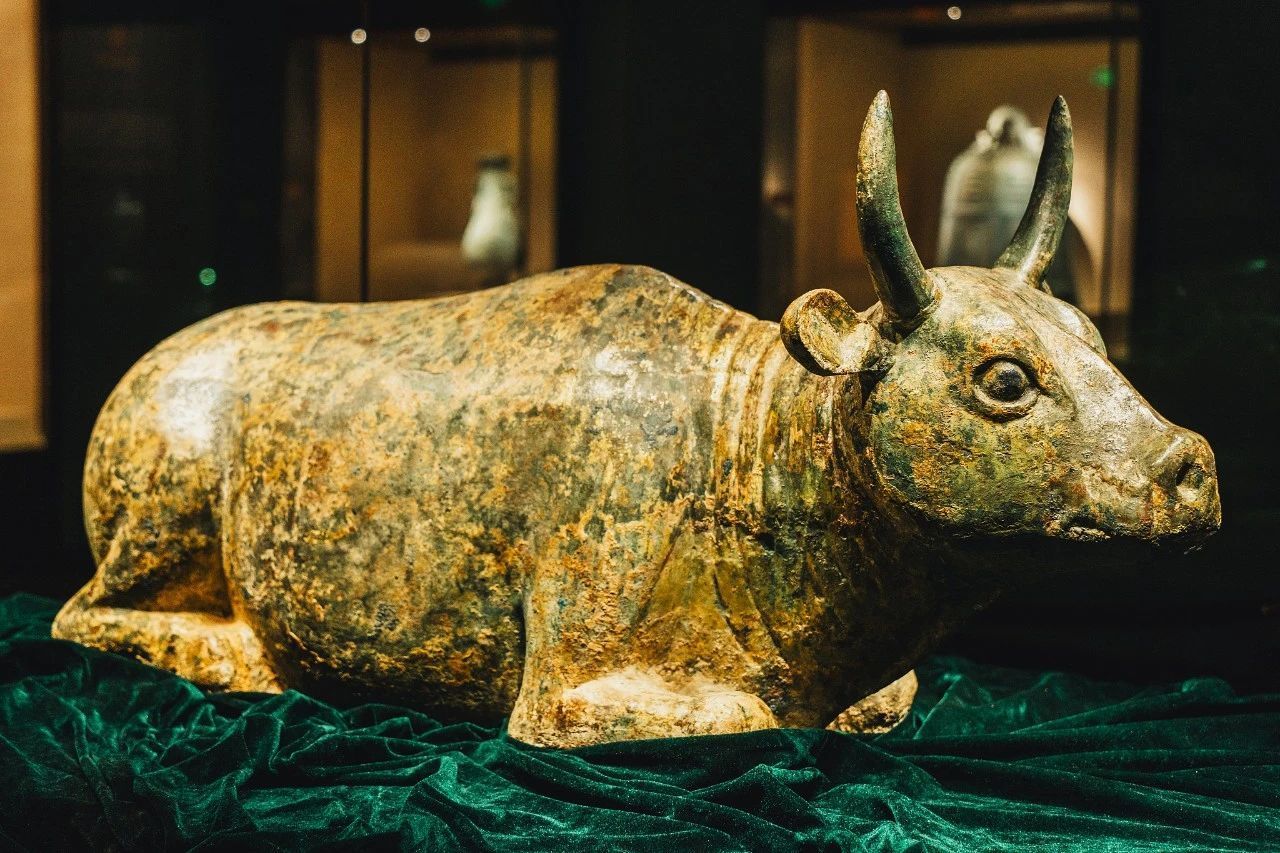 「宁夏」，你可太宝藏了