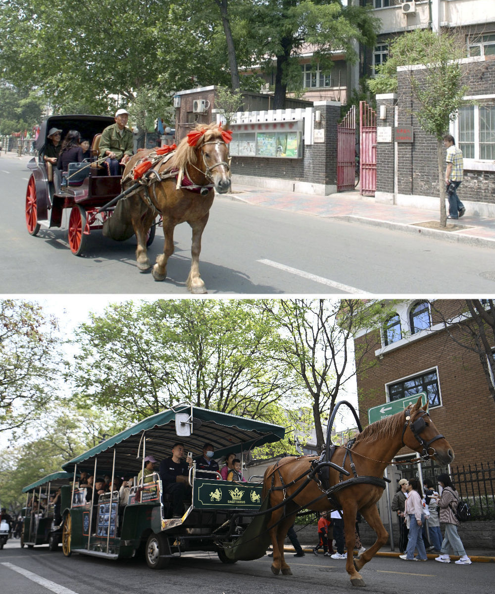 拼版照片：上图是游客乘坐四轮马车游览天津五大道（2005年6月2日摄)；下图是游客乘坐观光马车游览天津五大道（2024年4月13日摄）。
