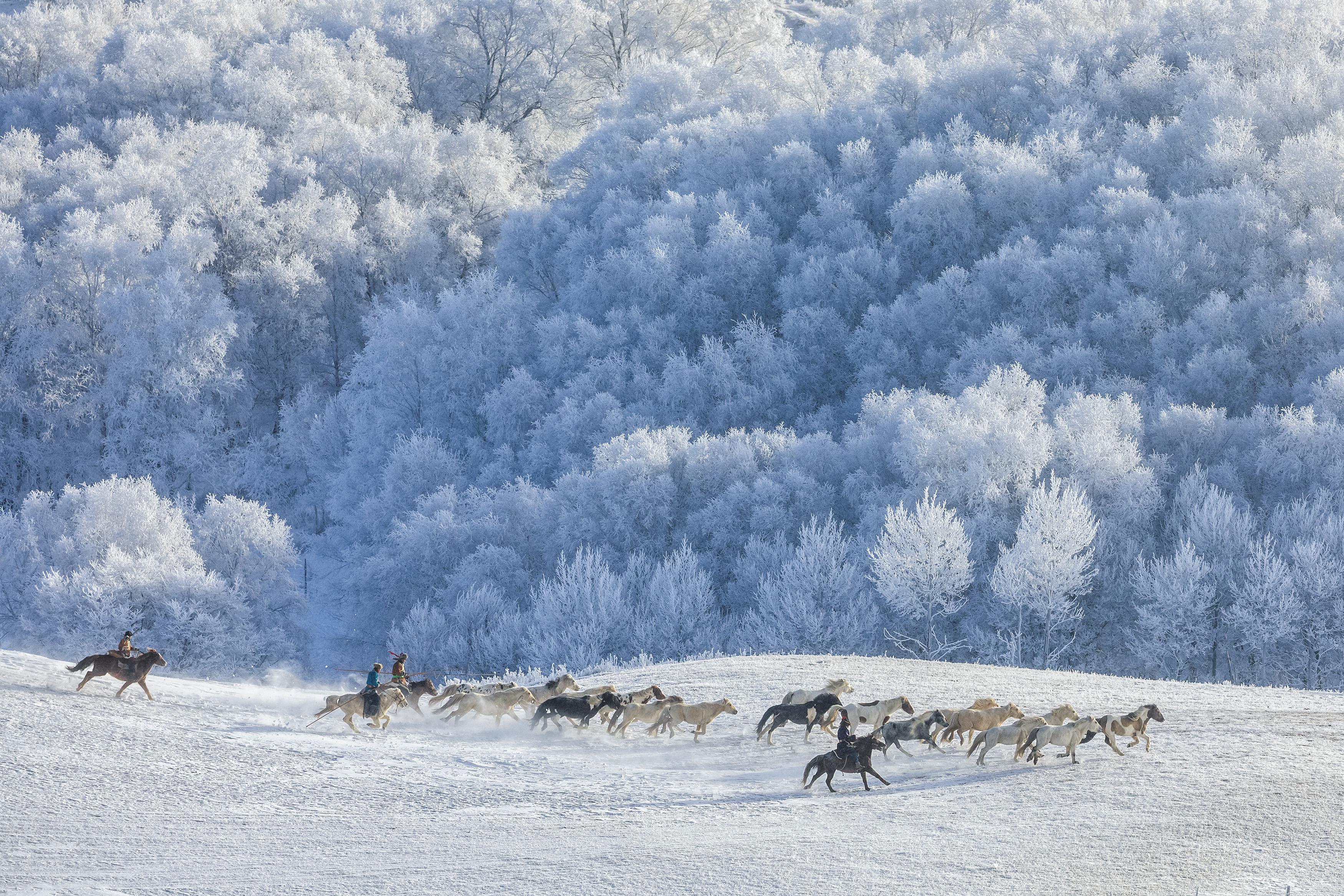 牧民在乌兰布统雪域策马奔腾。图/李恒