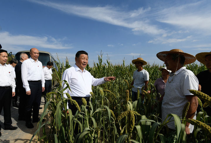 2021年9月13日至14日，中共中央总书记、国家主席、中央军委主席习近平在陕西省榆林市考察。这是13日下午，习近平在米脂县银州街道高西沟村临时下车，察看粮食作物长势，同正在田间劳作的老乡拉家常。新华社记者 李学仁 摄