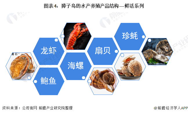 图表4:獐子岛的水产养殖产品结构——鲜活系列