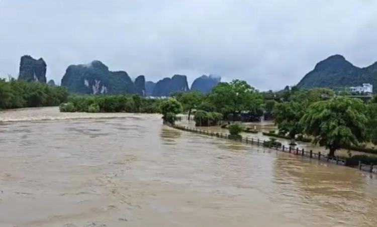 陽朔遇龍河景區(qū)因水位上漲已關(guān)閉10來天。