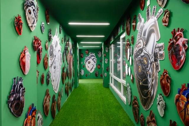 ▲ 李琳琳,《阿拉斯加的鳕鱼》展览现场