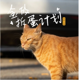 新瑞鹏集团与金故品牌方签署猫咪绝育合作协议,全力支持流浪动物公益事业_凤凰网商业_凤凰网