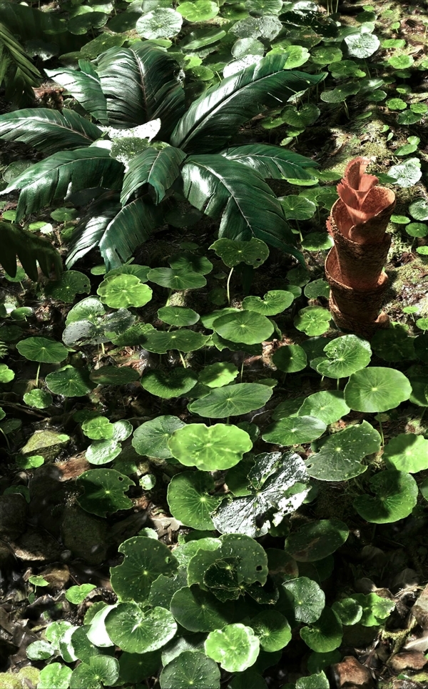 《波斯王子:失落的王冠》即将面市