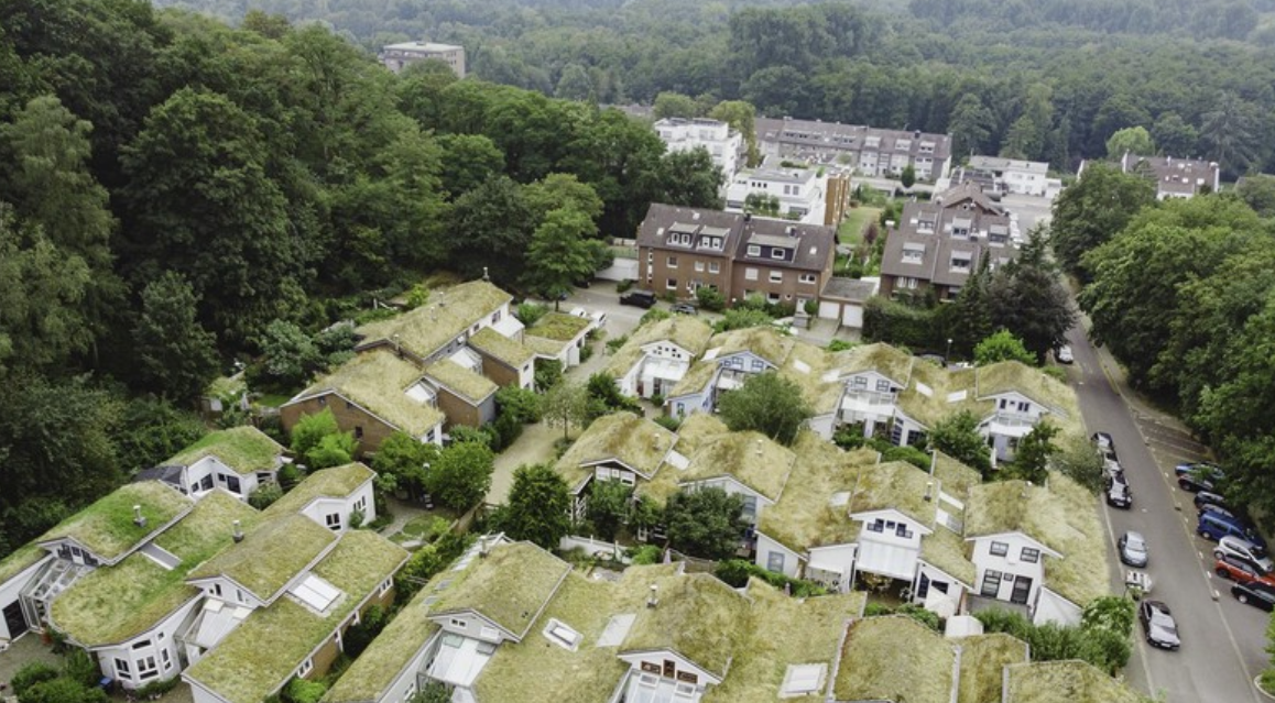 应对气候变化危机，德国多个城市进行绿色改造建设 图源：IC photo（下同）