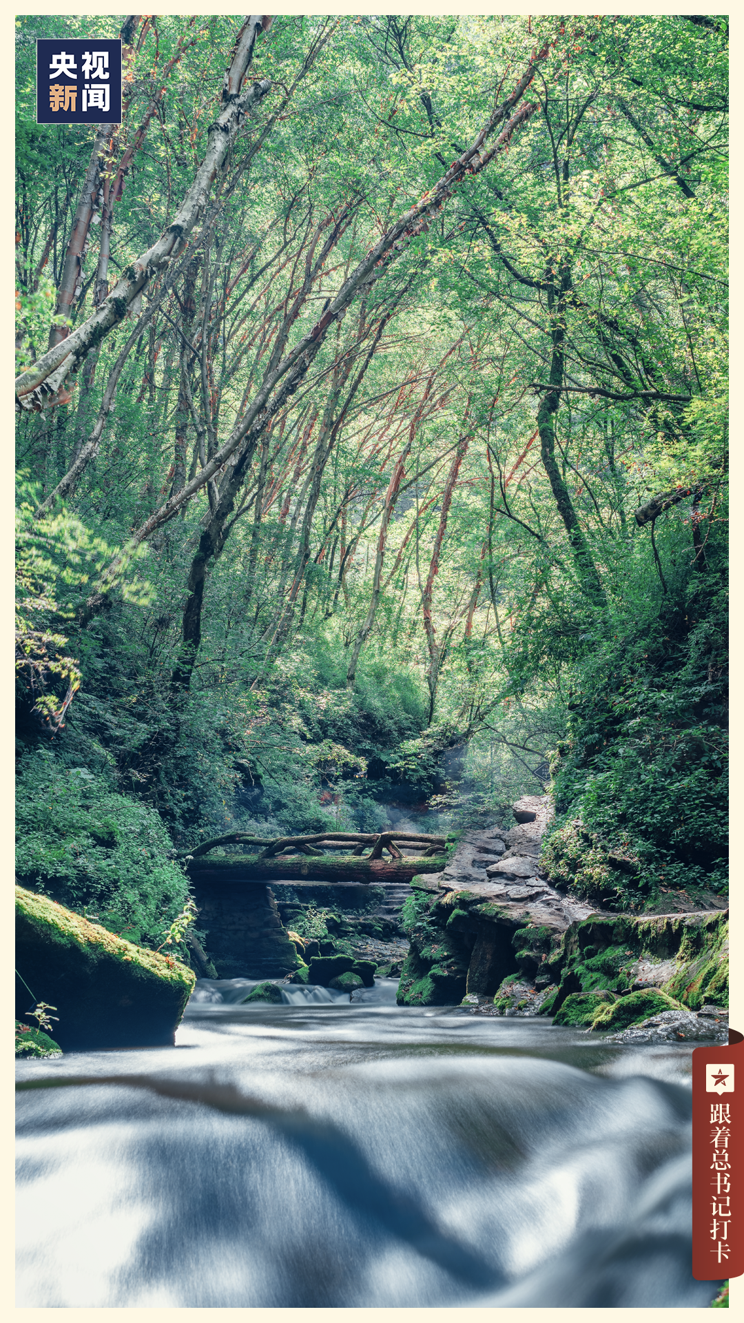 「宁夏」，你可太宝藏了