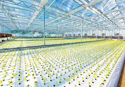 建设好现代农业产业园（新时代画卷&middot;国家现代农业产业园①）