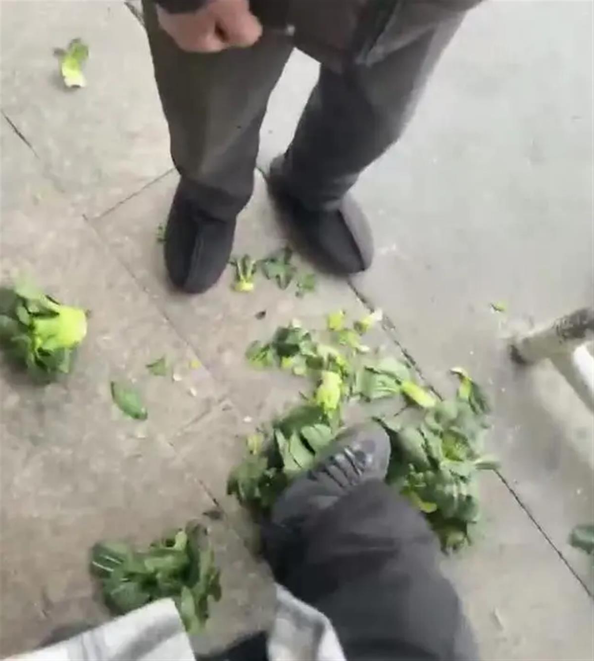 （相关视频截图）